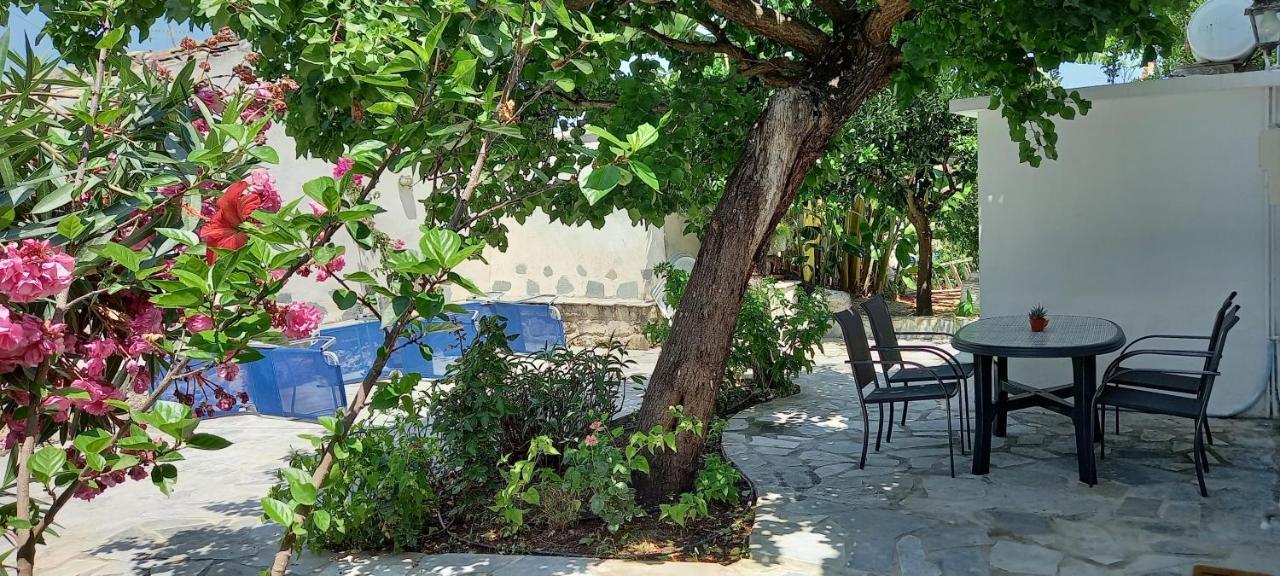 Villa Beloussi Zakynthos Kypseli ภายนอก รูปภาพ