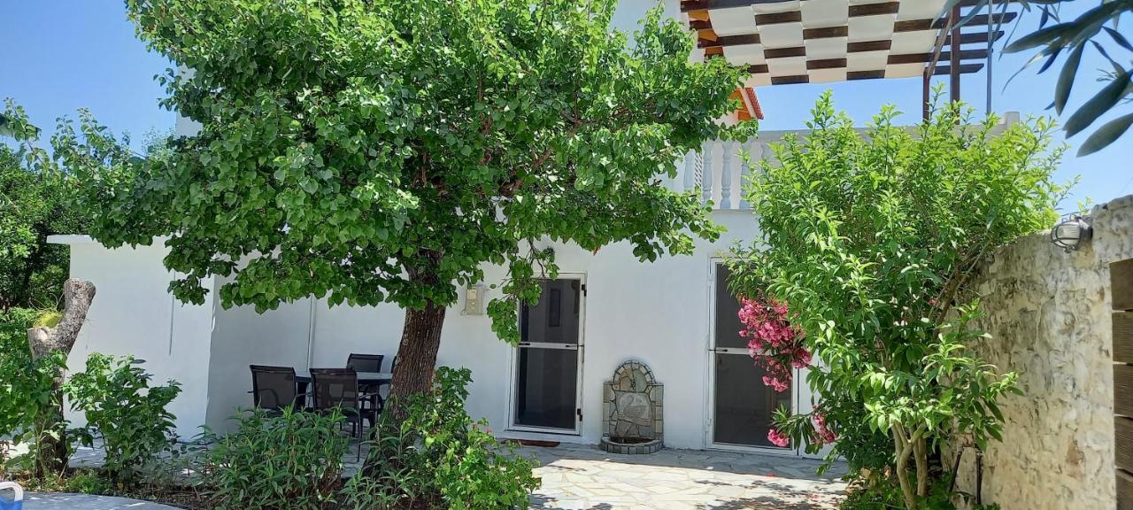 Villa Beloussi Zakynthos Kypseli ภายนอก รูปภาพ